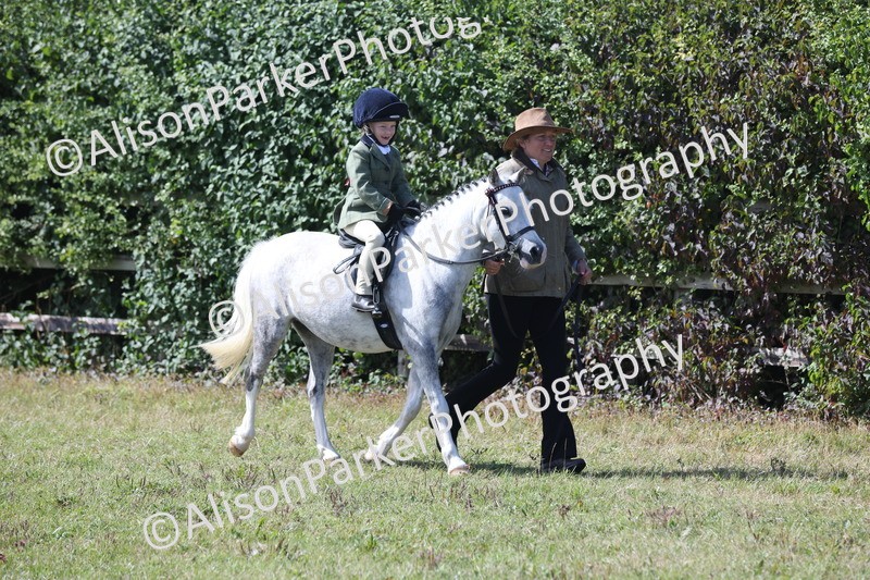 20250831-2642 - Class 17 - Lead Rein Pony