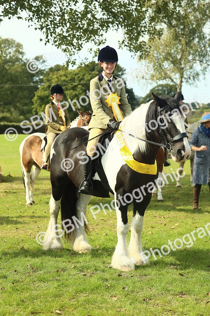 SBM_68970 - S58 - Mini Show Cob Ridden