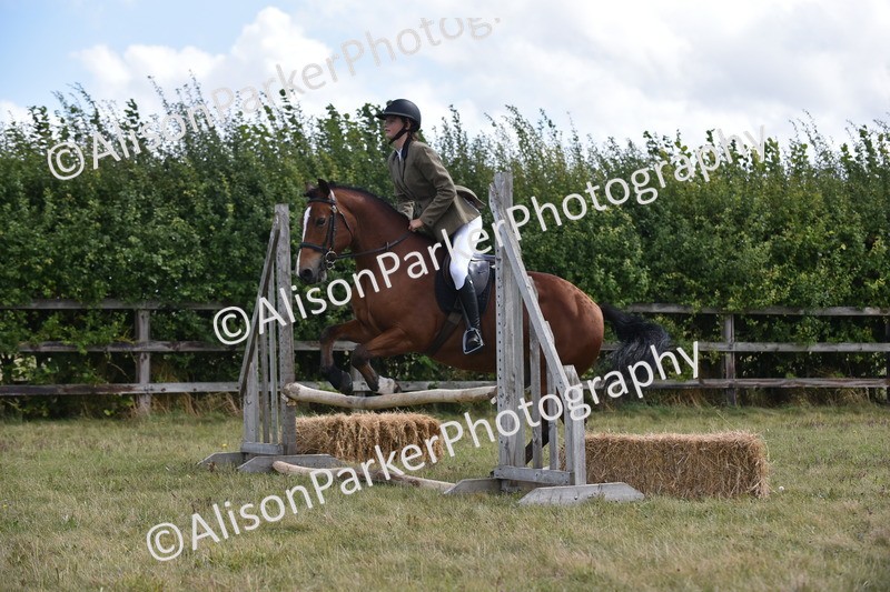 20250831-4006 - Class 12 - Working Hunter Pony 14.2hh and Under