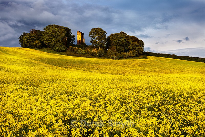 In Full Bloom - Castletown Tower