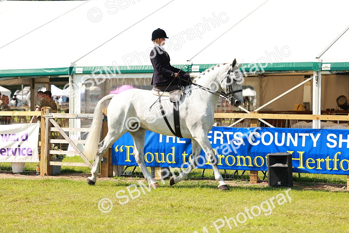SBM_13112 - Class 70-71 - Side Saddle