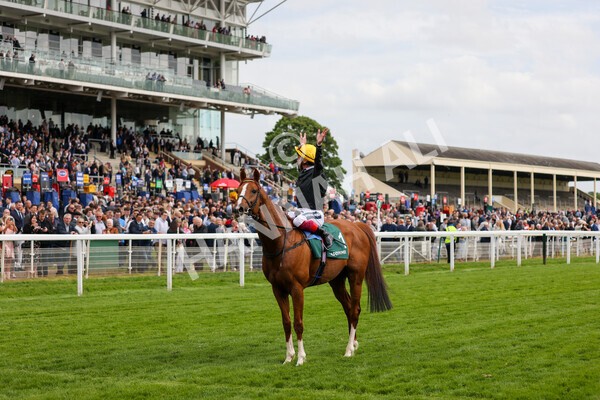 yr13052022r4-76 - Race 4 3.35pm The Paddy Power Yorkshire Cup (British Champions Series Race)