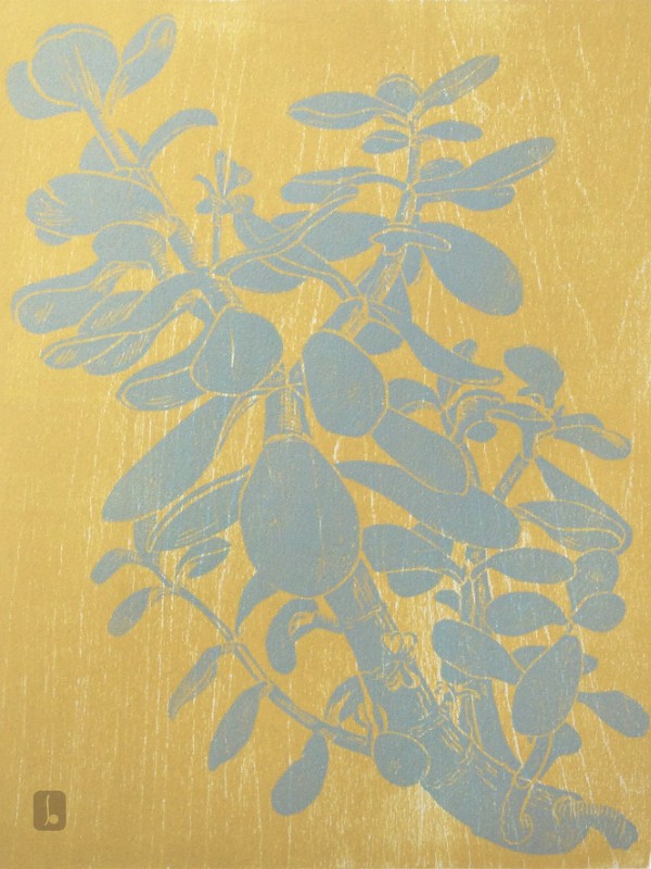 Sylvia Quinn Home 'Jade plant III' - Summer Exhibition 2024