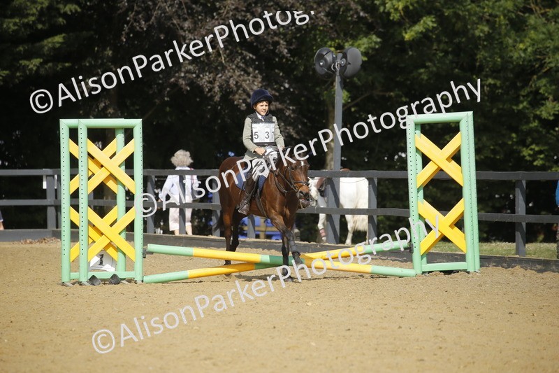 20250622-1611 - 40cm