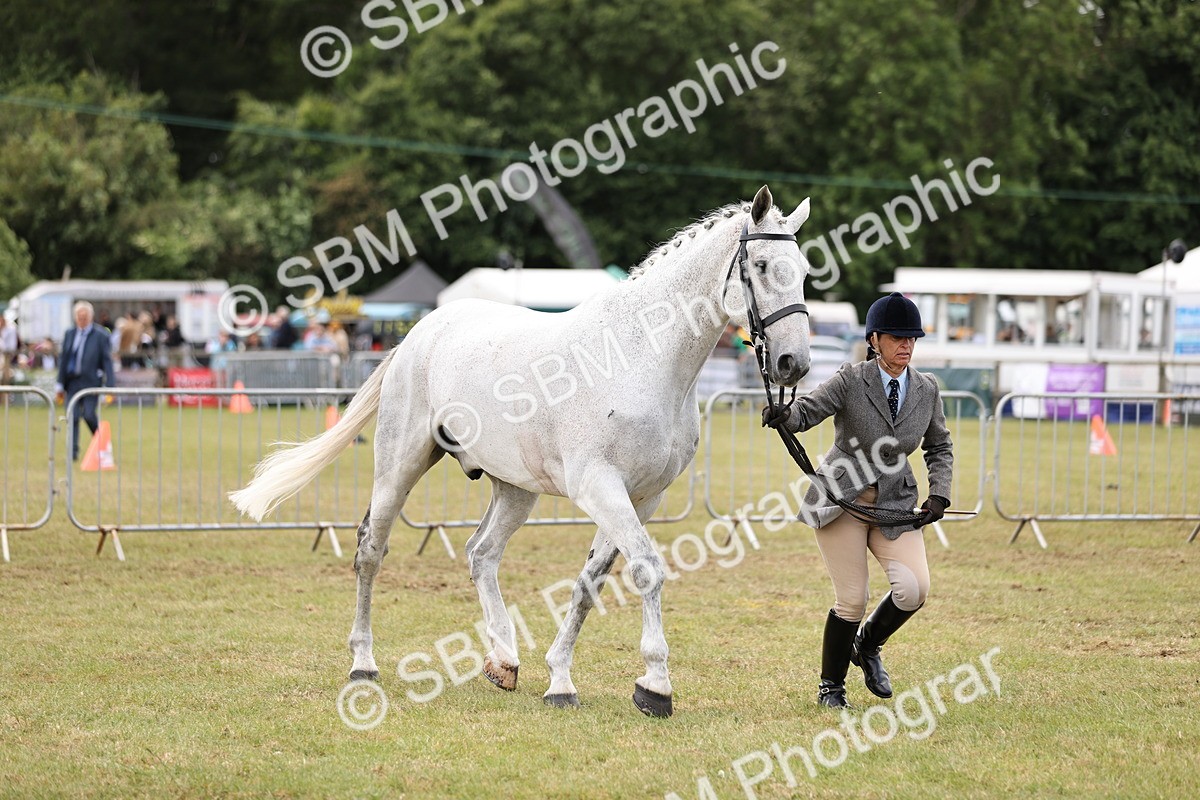 SBM_14735 - Class 88-89 - LIHS BSHA Rising Star of Ridden Hunter Type