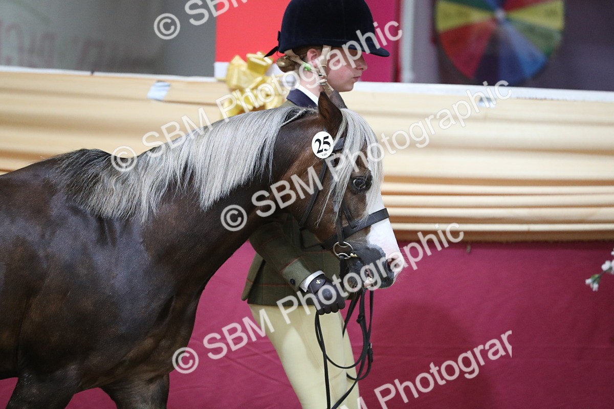 SBM_06512 - Regional IH Champ