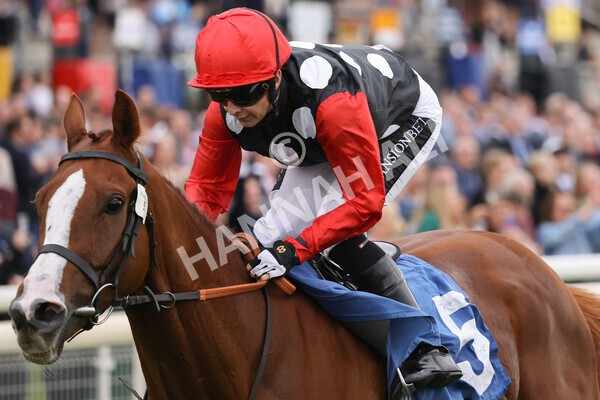 yr24092021r6-34 - Race 6 4.25pm William Hill Pick Your Places Stakes