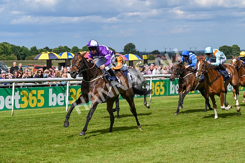 080624-Race 5-Ludos Landing-1465 - Race 5