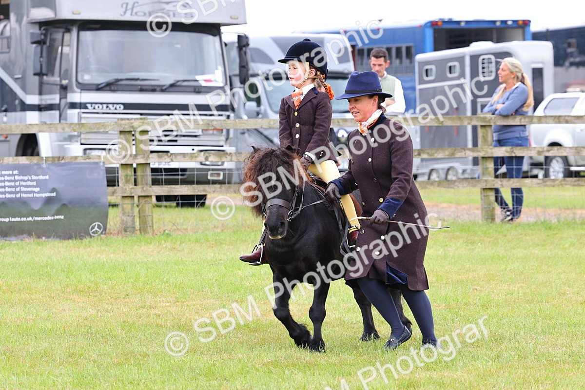 SBM_08156 - Class 42-43 - LIHS BSPS Heritage Working Sports Pony