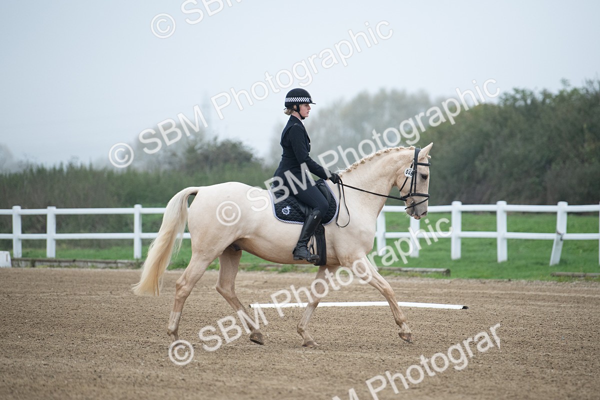 SBM_003328 - Introductory Test 3