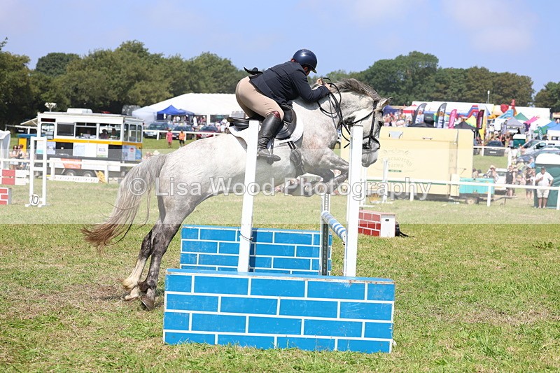 3E7A2922 - Class 7: Senior British Novice/90cm open