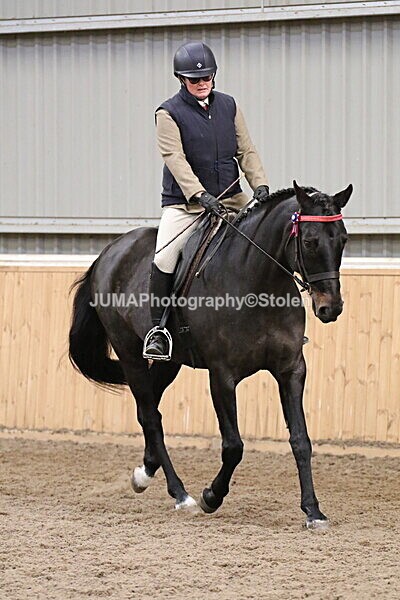 SIAL2817 - Sunday 14th Ridden