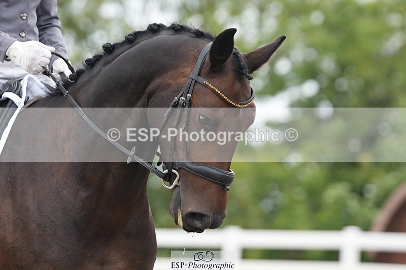 250907-123232-07376 - 096-Anna.JamesCaramia's.voice