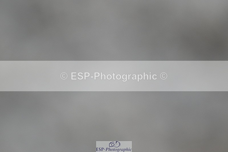 240611A-194130-01429 - 50cm