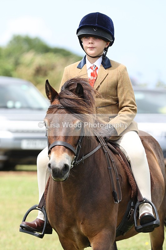 JPP_1931 - Class 18: Tiny Tots Working Hunter Pony