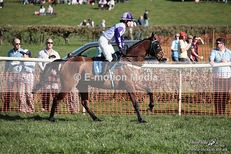 PtP 210326 639 - VWH Cirencester Races 21/03/26