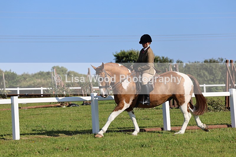IMG_1426 - Class 29:  Ridden Native/Trad Coloured Horse