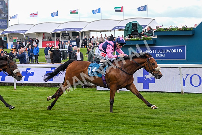 150526-Race 1-Zarathos-6922 - Race 1 1.45pm Yorkshire Equine Practice Handicap
