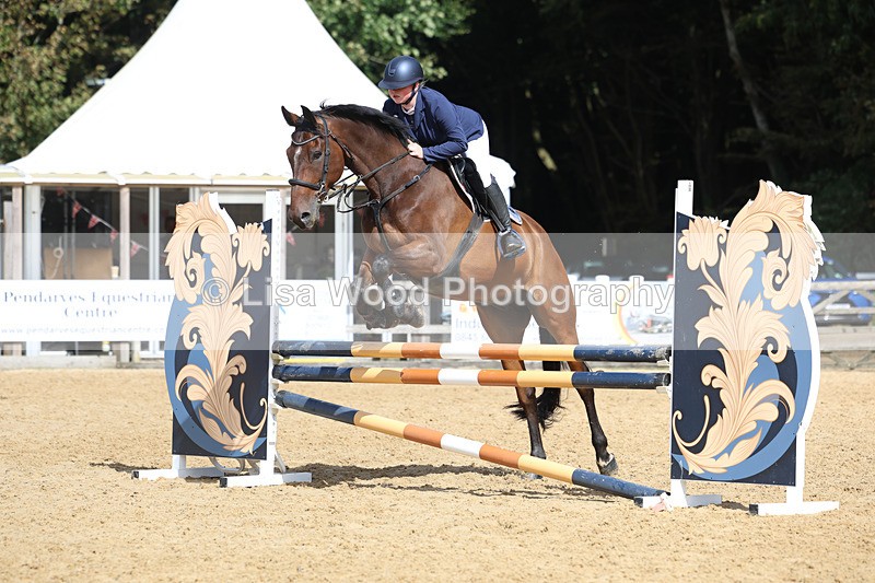 3E7A9453 - Class 9: Senior British Novice/90cm open