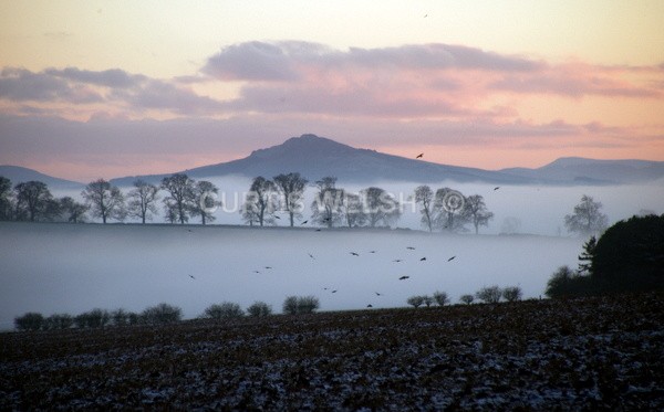 109 - SCOTTISH BORDERS