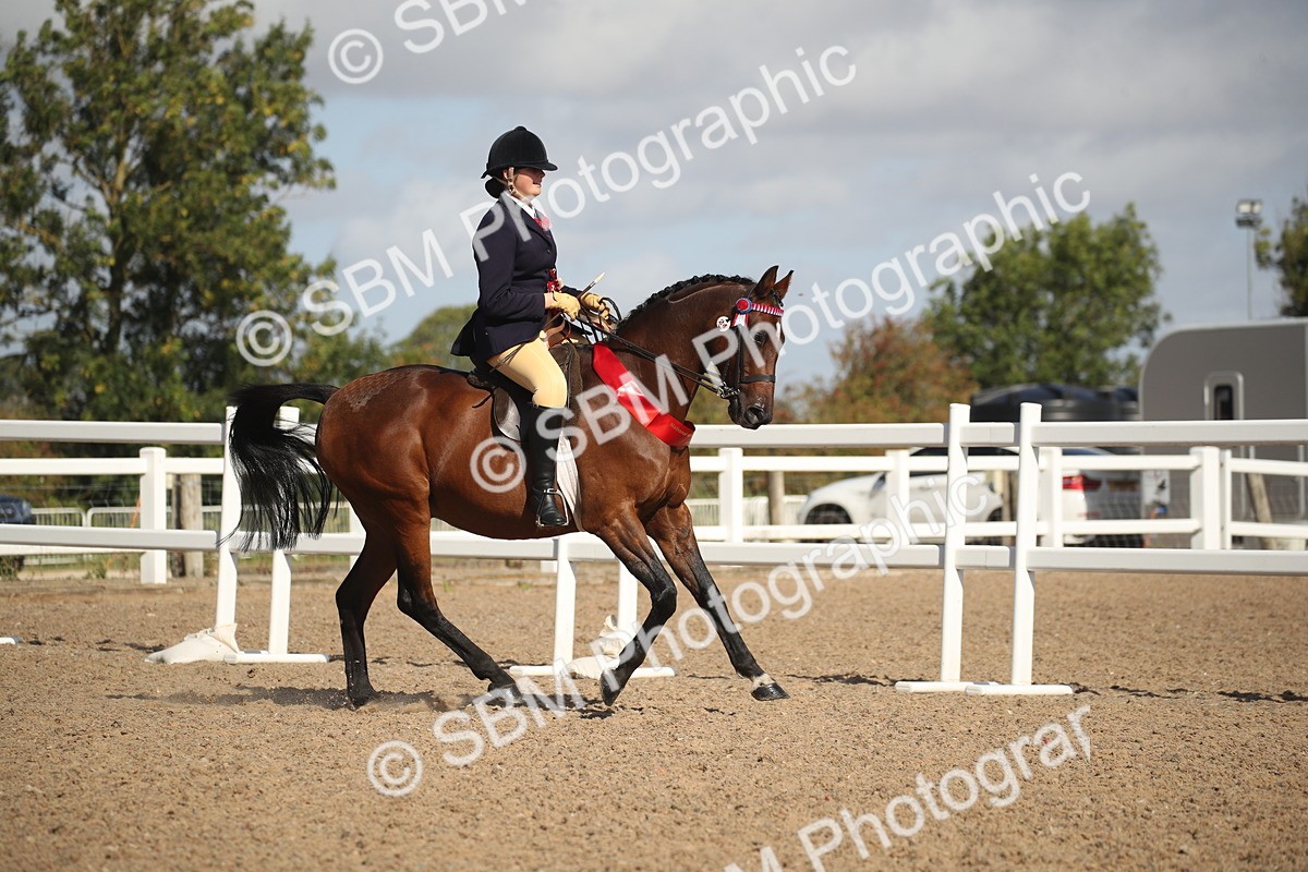 SBM_22881 - Class 602 - 2026 Area - Ridden Veteran