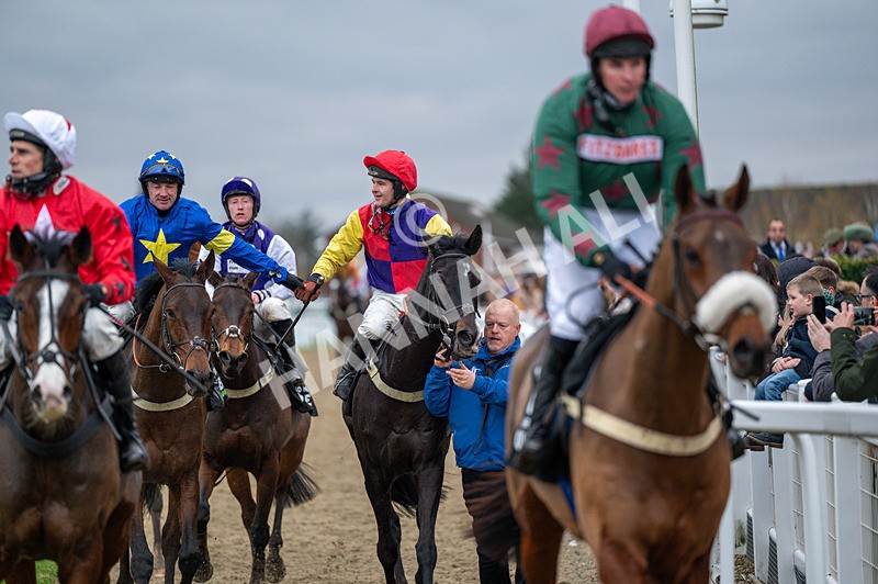 161125-Race 5-Alexei-1793 - Race 5