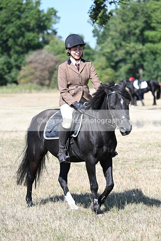 WJ7_3539 - Class 9 Mountain & Moorland Ridden