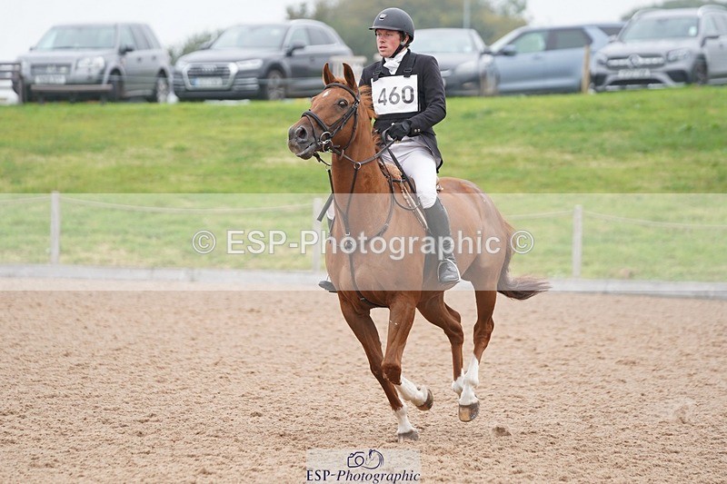 240901A-113936-06649 - 460-Harry.Rowcliffe-22.CARROT.GOLD