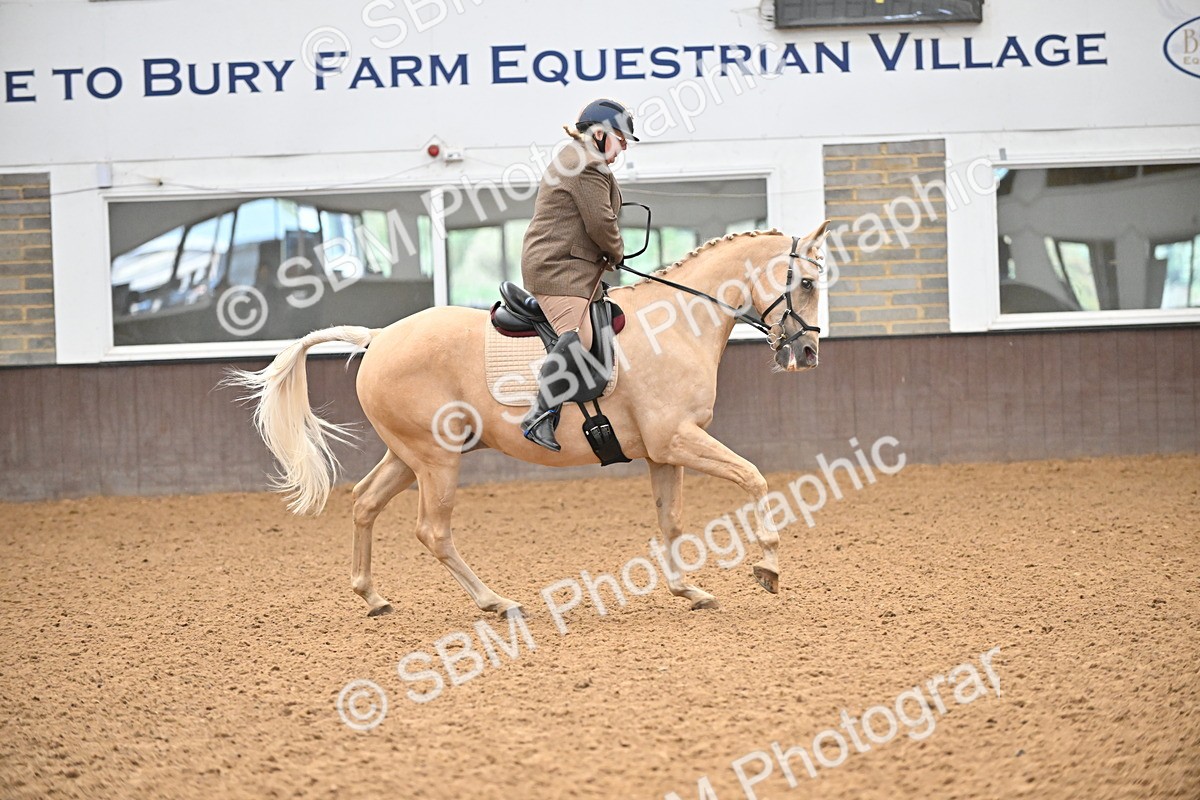 SBM_001451 - Class 19,20 - Ridden Native, Foreign Breeds & Warmbloods