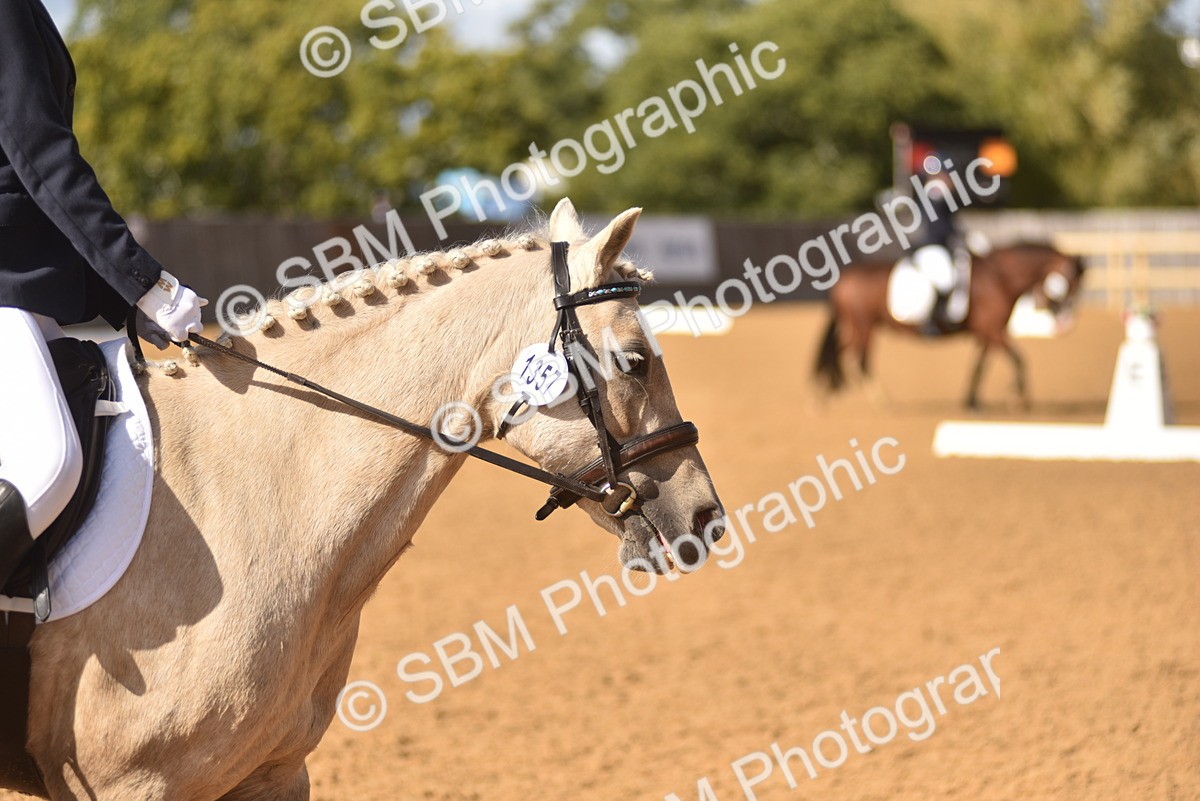SBM_48777 - D22 - Junior Championship Intro 3