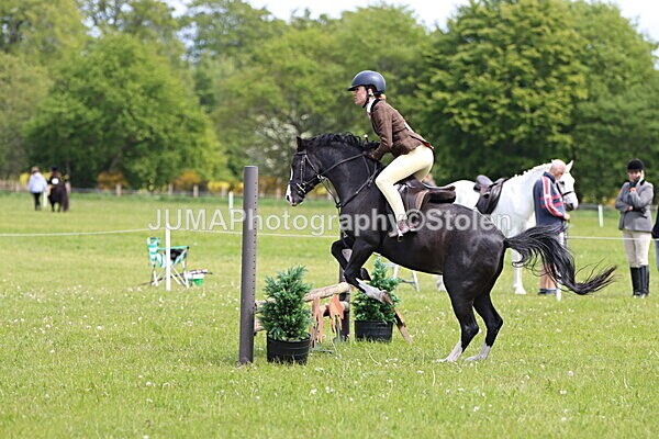 IMG_3195 - Working Hunter