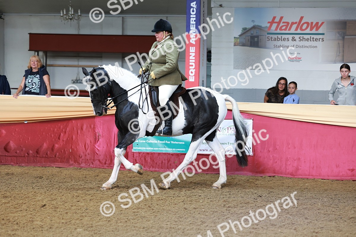 SBM_11855 - Class 102 - Equitation (Best Rider) Adult