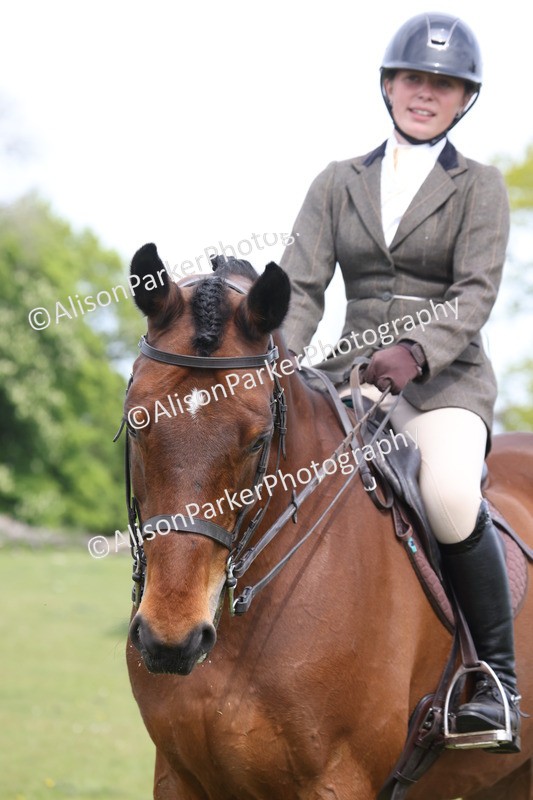 20260426-4372 - Class 34 - Best Riding Horse Over 14.2hh