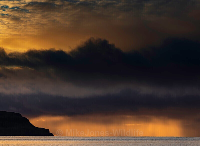 Distant snow storm from Calgary beach. - LATEST... Isle of Mull Otters and Landscapes December 2022 & Seal Pups from Donna Nook, Lincs