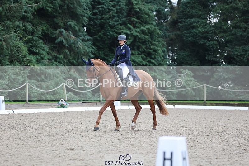 241024-141438-04034 - 239-Lissa.Green-KILLBUNNY.ANDY