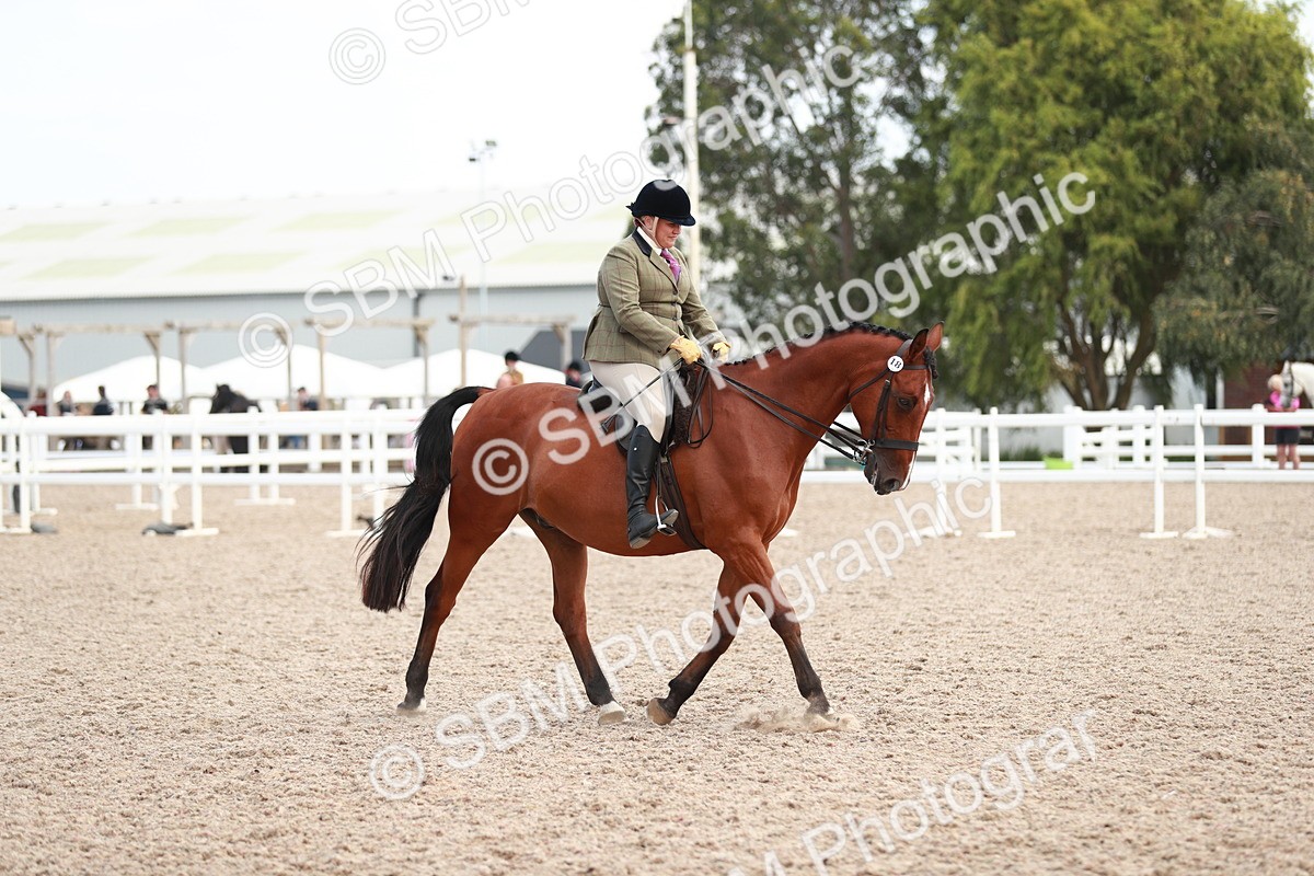SBM_15529 - Class 213 Ridden Hunter -Large