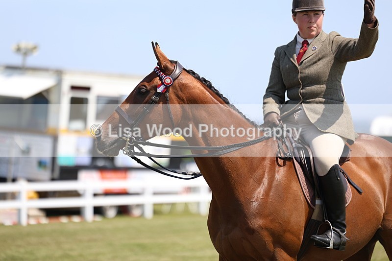3E7A9421 - Class 12: Open Racehorse to Show Horse