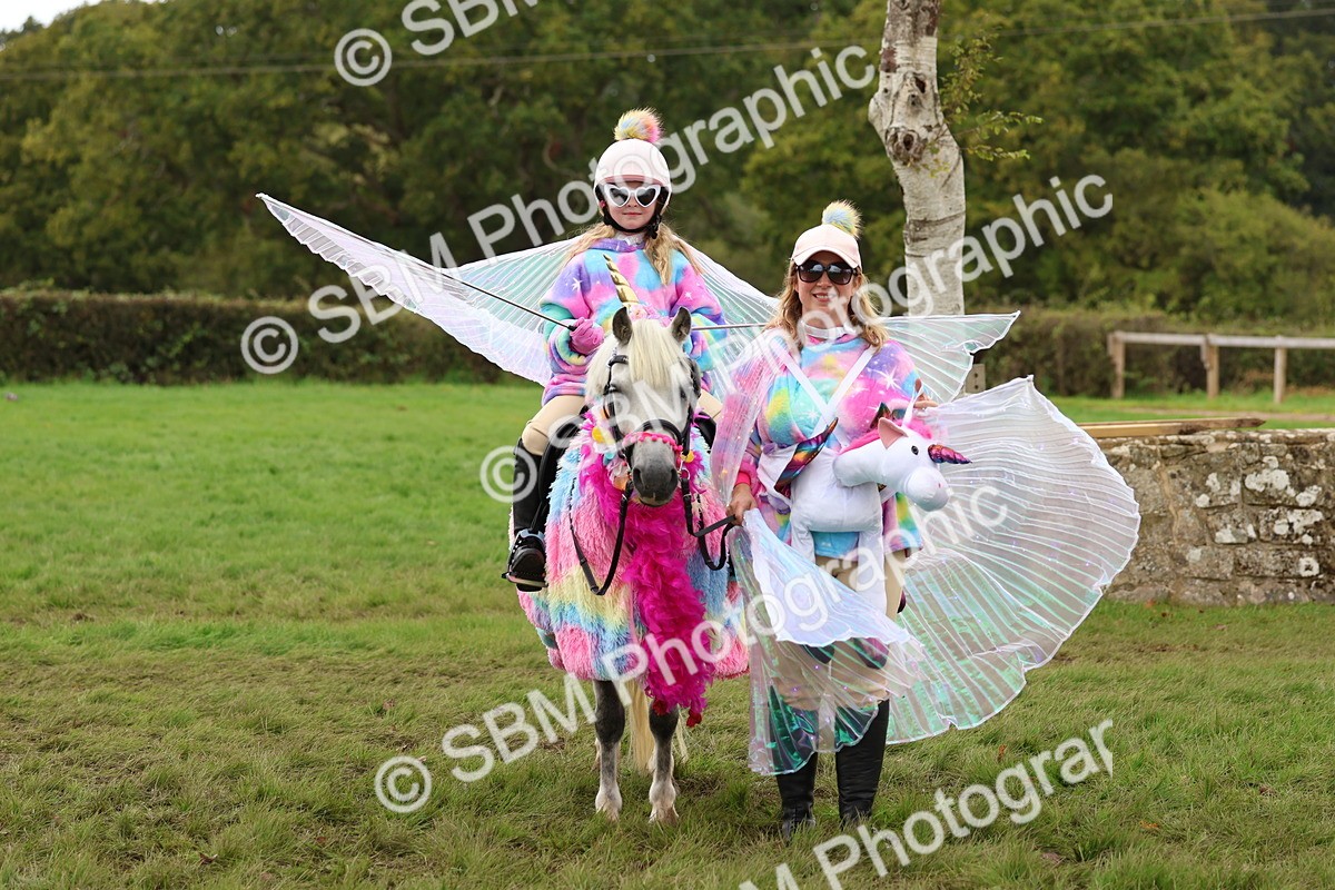 SBM_62180 - S37b - Best Unicorn