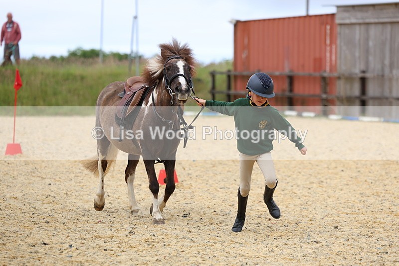 3E7A9586 - Walk trot run