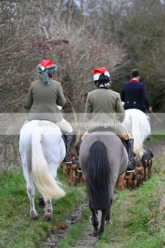 WJ7_0845 - First Seen