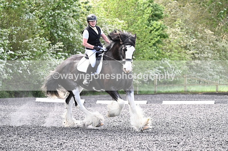 WJ7_8501 - Time 11:11 to 11:29