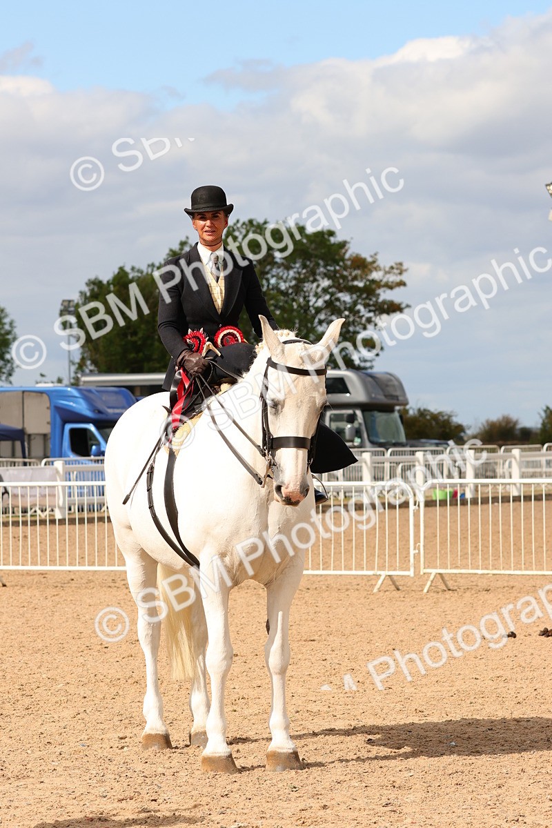 SBM_15917 - Class 216 - Best Side Saddle Horse-Pony