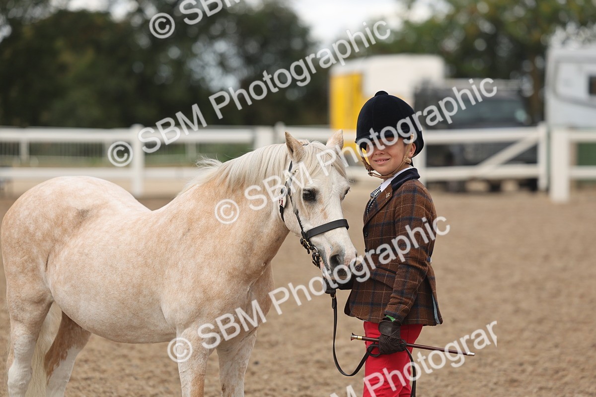 SBM_04335 - Class 17 - Prettiest Mare (IH or Ridden)