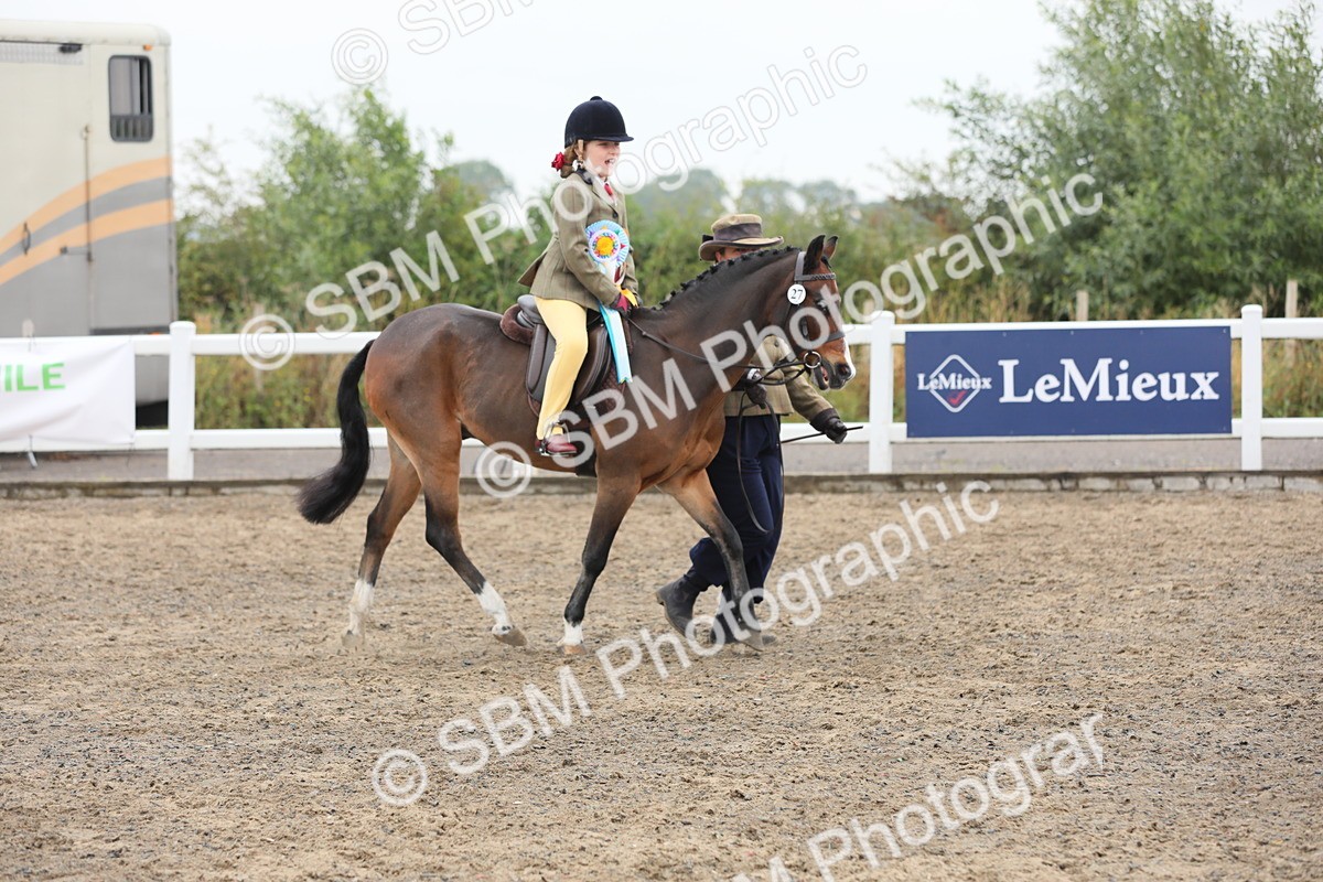 SBM_21907 - Class 806 - Young ridder 10 Yr & Under