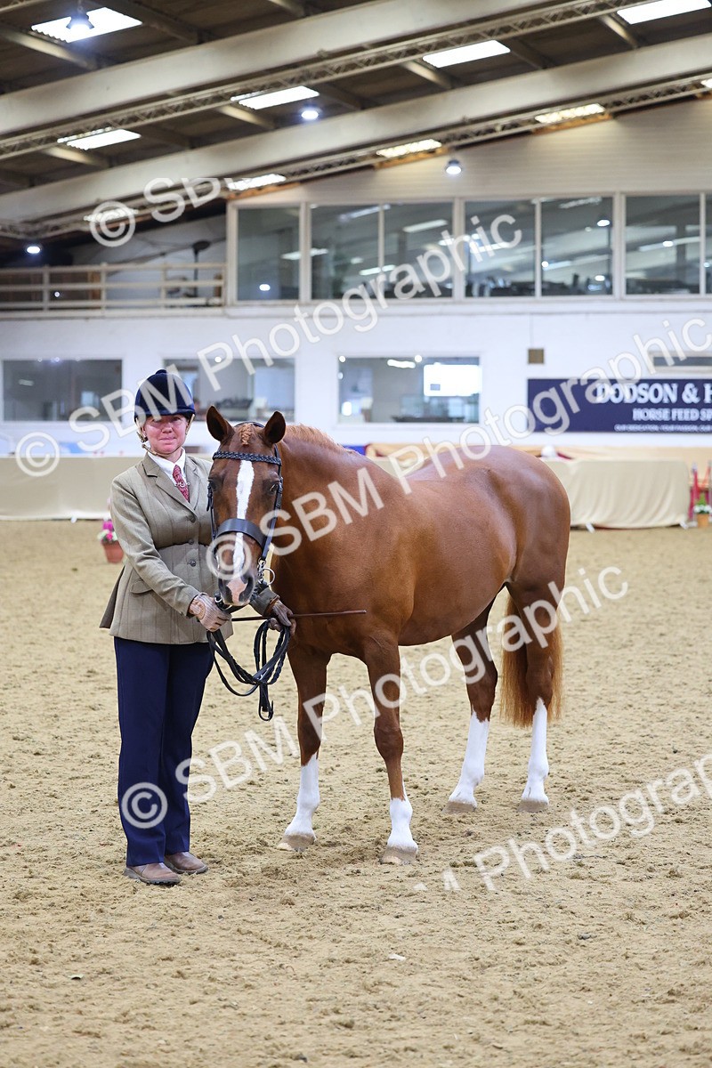 SBM_19436 - Class 901 - Supreme Final - IH Diamond