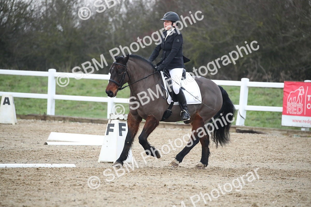 SBM_004646 - Novice 3