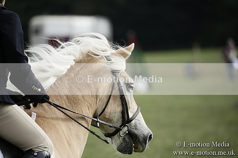 BVR090918 358 - BVRC Dressage and Show Jumping 09/09/18