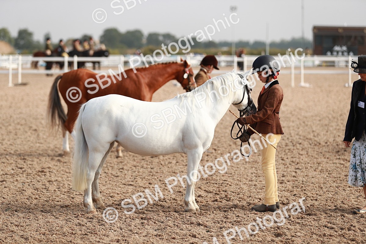 SBM_09904 - Class 203 Young Handler, 10 years and under