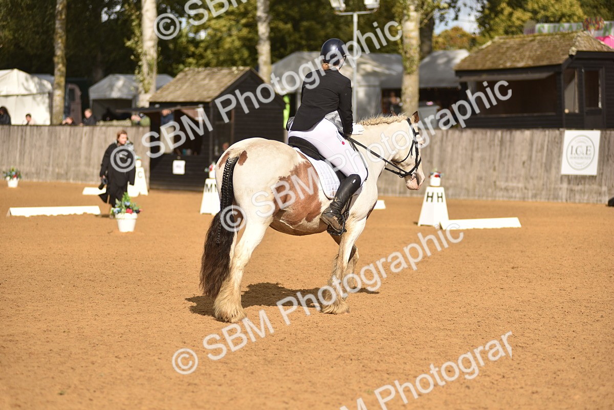 SBM_48881 - D22 - Junior Championship Intro 3
