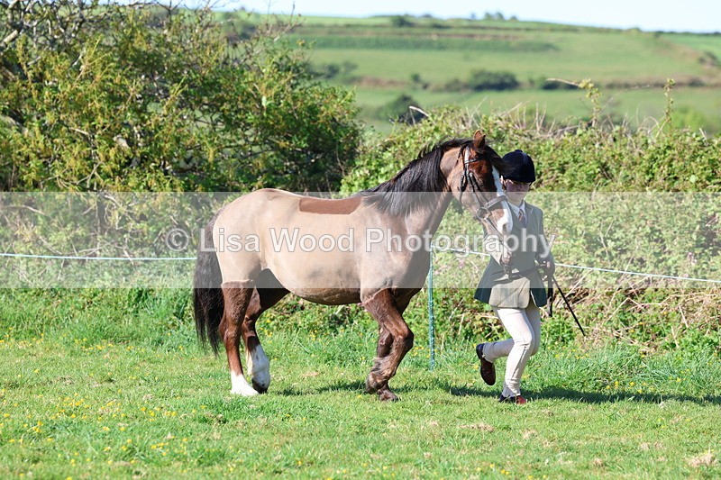 3E7A8324 - Class 12: M & M Small Breeds